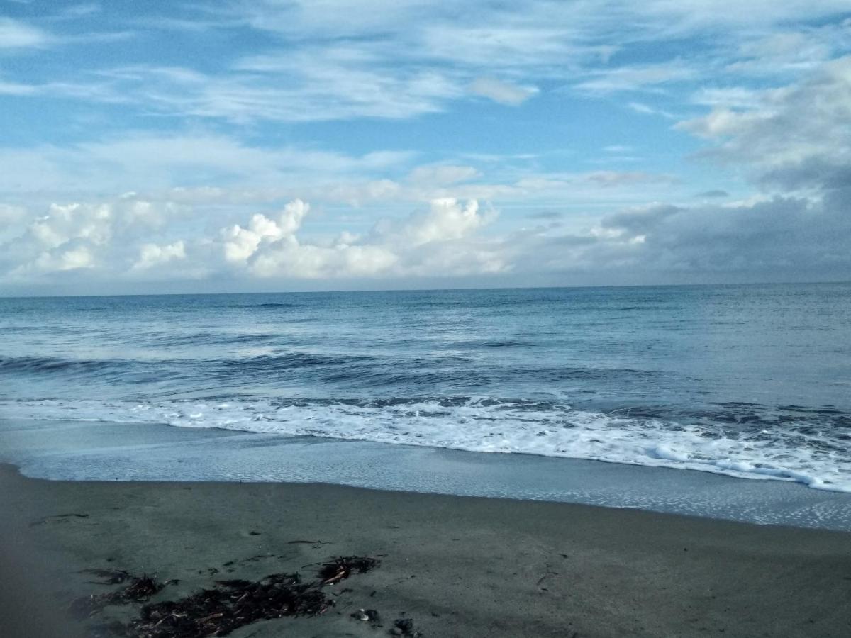 Un Nid Douillet En Bord De Plage !! Lucciana  Esterno foto